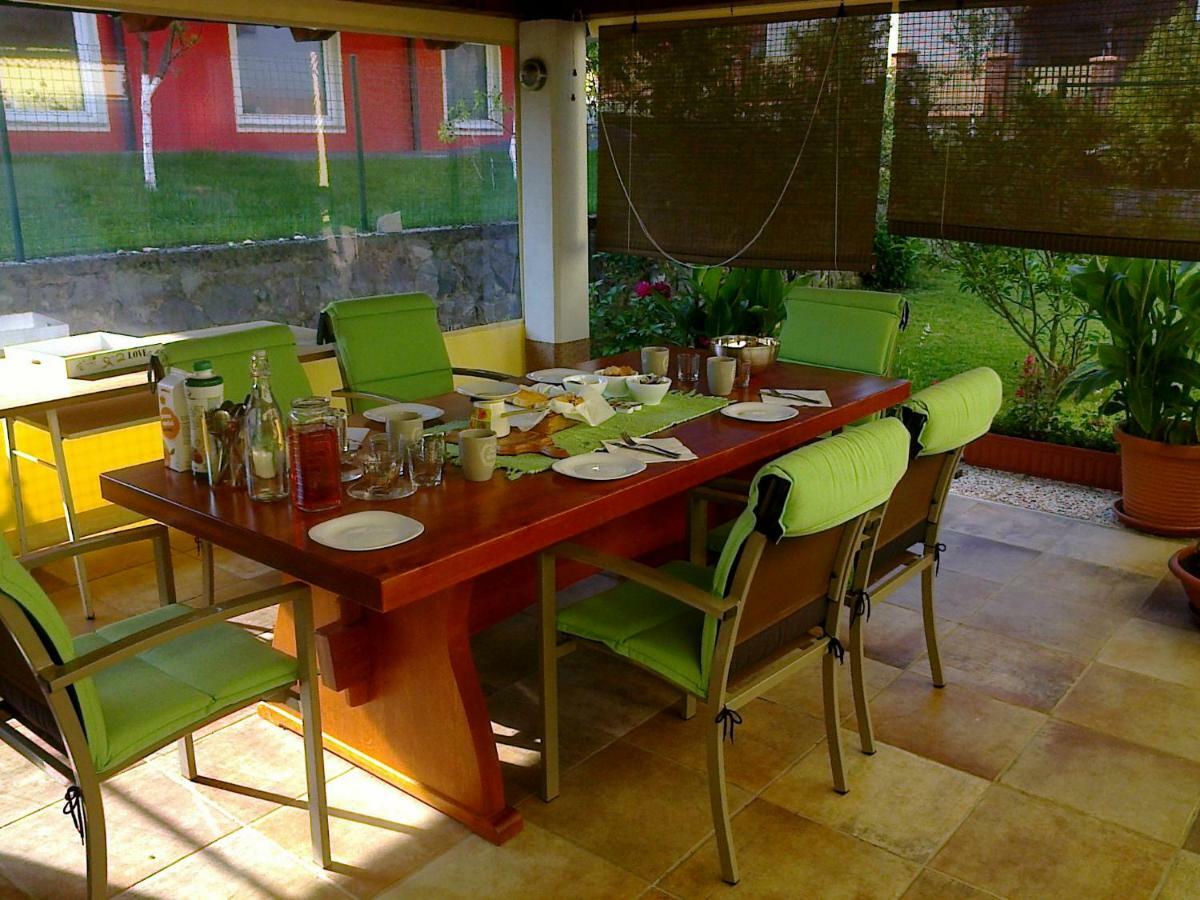 Yellow Dreamhouse Postojna Eksteriør billede